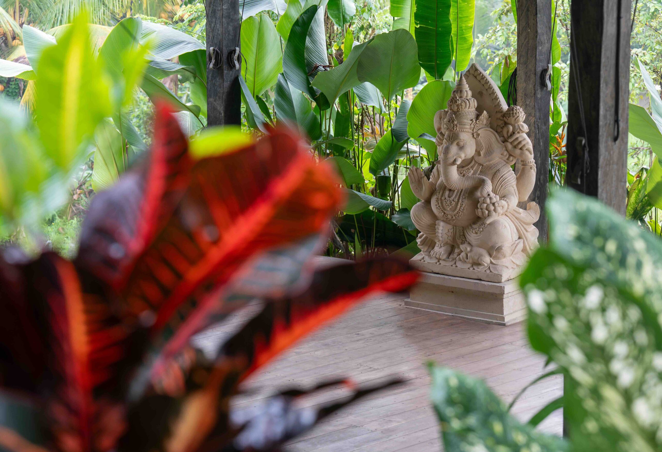 the yoga shala of senses bali